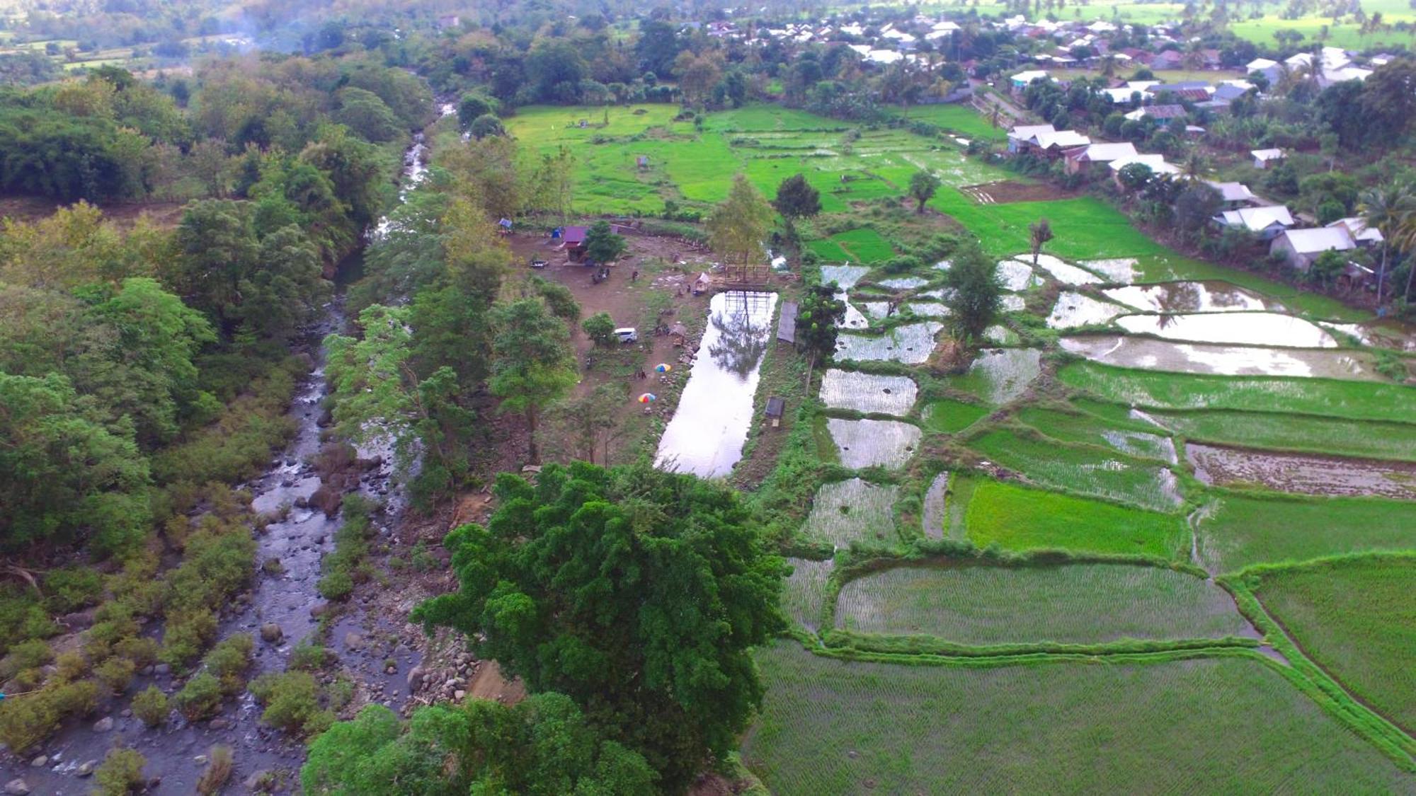 Tiu Batu Homestay Alas 外观 照片
