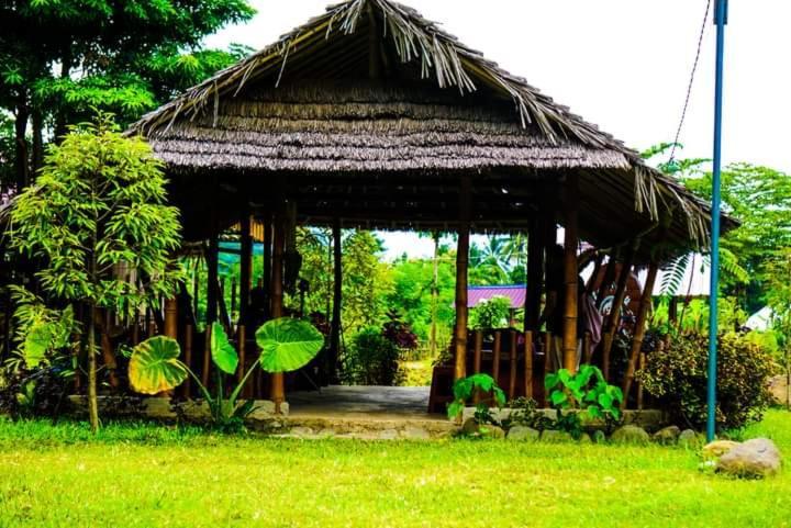 Tiu Batu Homestay Alas 外观 照片