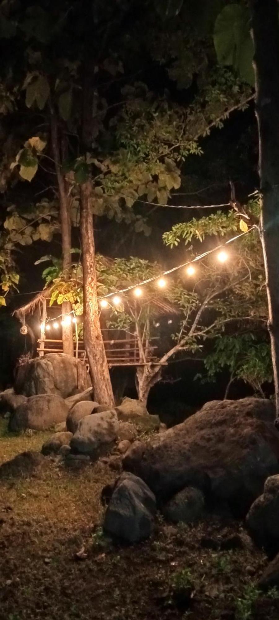 Tiu Batu Homestay Alas 外观 照片
